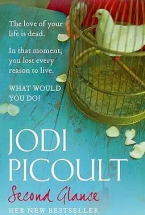 Second glance by Jodi Picoult (paperback)