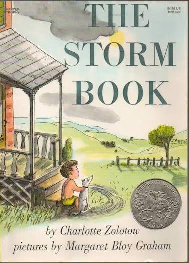 The Storm Book by Charlotte Zolotow (paperback)
