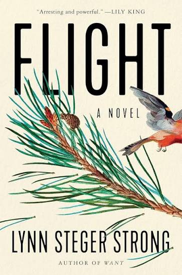 Flight by Lynn Steger Strong (paperback)