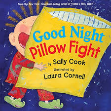 Good Night Pillow Fight by Sally Cook (paperback)