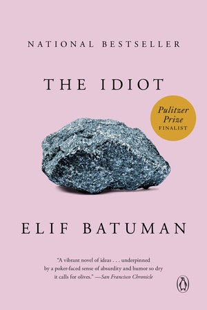 idiot-by-elif-batuman-(paperback) cover image