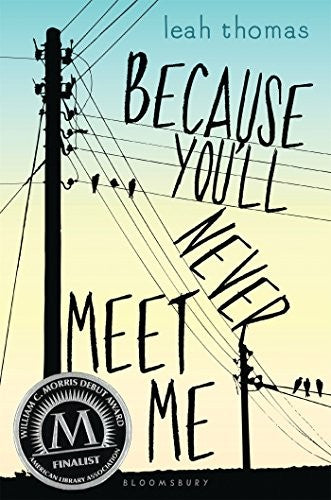 because-you'll-never-meet-me-by-leah-thomas-(hardcover) cover image