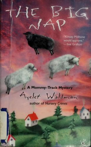 the-big-nap-by-ayelet-waldman-(paperback) cover image