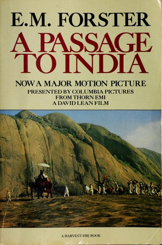 a-passage-to-india-by-e.-m.-forster-(paperback) cover image