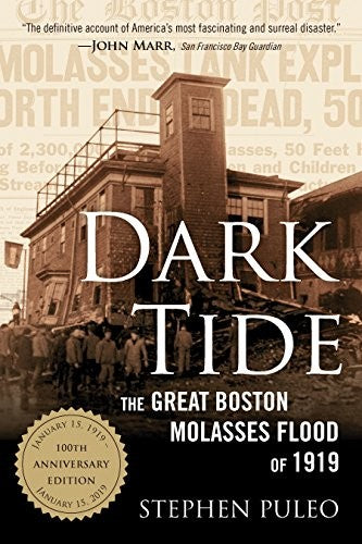 dark-tide-by-stephen-puleo-(paperback) cover image
