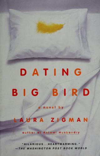 dating-big-bird-by-laura-zigman-(paperback) cover image
